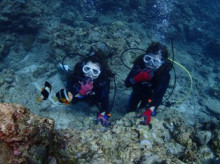 沖縄青の洞窟ダイビングショップ【マリンクラブクレアブログ】