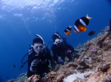 沖縄青の洞窟ダイビングショップ【マリンクラブクレアブログ】