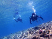 沖縄青の洞窟ダイビングショップ【マリンクラブクレアブログ】