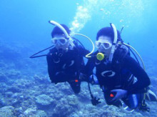 沖縄青の洞窟ダイビングショップ【マリンクラブクレアブログ】