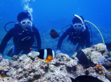 沖縄青の洞窟ダイビングショップ【マリンクラブクレアブログ】