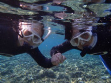 沖縄青の洞窟ダイビングショップ【マリンクラブクレアブログ】