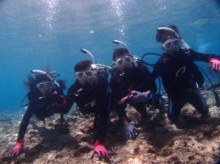 沖縄青の洞窟ダイビングショップ【マリンクラブクレアブログ】