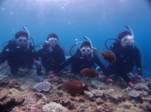 沖縄青の洞窟ダイビングショップ【マリンクラブクレアブログ】