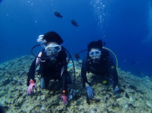 沖縄青の洞窟ダイビングショップ【マリンクラブクレアブログ】