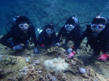 沖縄青の洞窟ダイビングショップ【マリンクラブクレアブログ】