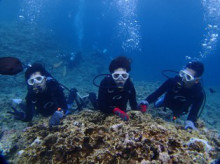 沖縄青の洞窟ダイビングショップ【マリンクラブクレアブログ】