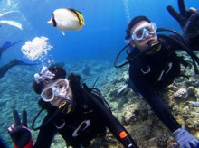 沖縄青の洞窟ダイビングショップ【マリンクラブクレアブログ】