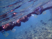 沖縄青の洞窟ダイビングショップ【マリンクラブクレアブログ】