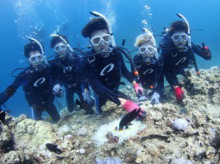 沖縄青の洞窟ダイビングショップ【マリンクラブクレアブログ】