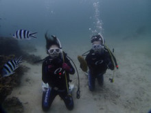 沖縄青の洞窟ダイビングショップ【マリンクラブクレアブログ】