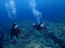 沖縄青の洞窟ダイビングショップ【マリンクラブクレアブログ】