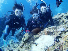 沖縄青の洞窟ダイビングショップ【マリンクラブクレアブログ】