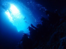 沖縄青の洞窟ダイビングショップ【マリンクラブクレアブログ】