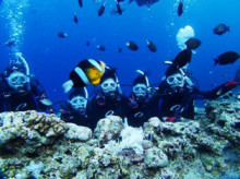 沖縄青の洞窟ダイビングショップ【マリンクラブクレアブログ】