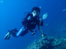 沖縄青の洞窟ダイビングショップ【マリンクラブクレアブログ】