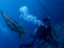 沖縄青の洞窟ダイビングショップ【マリンクラブクレアブログ】