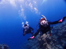 沖縄青の洞窟ダイビングショップ【マリンクラブクレアブログ】