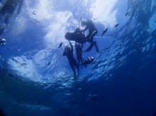 沖縄青の洞窟ダイビングショップ【マリンクラブクレアブログ】