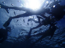 沖縄青の洞窟ダイビングショップ【マリンクラブクレアブログ】