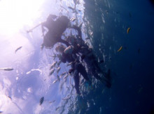 沖縄青の洞窟ダイビングショップ【マリンクラブクレアブログ】