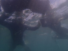 沖縄青の洞窟ダイビングショップ【マリンクラブクレアブログ】