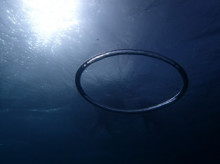 沖縄青の洞窟ダイビングショップ【マリンクラブクレアブログ】