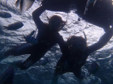 沖縄青の洞窟ダイビングショップ【マリンクラブクレアブログ】