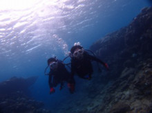 沖縄青の洞窟ダイビングショップ【マリンクラブクレアブログ】