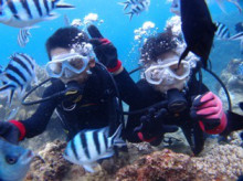 沖縄青の洞窟ダイビングショップ【マリンクラブクレアブログ】