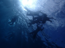 沖縄青の洞窟ダイビングショップ【マリンクラブクレアブログ】