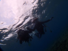 沖縄青の洞窟ダイビングショップ【マリンクラブクレアブログ】