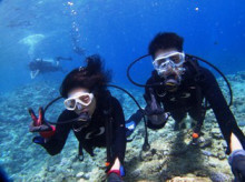 沖縄青の洞窟ダイビングショップ【マリンクラブクレアブログ】