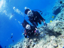 沖縄青の洞窟ダイビングショップ【マリンクラブクレアブログ】