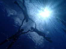 沖縄青の洞窟ダイビングショップ【マリンクラブクレアブログ】