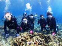 沖縄青の洞窟ダイビングショップ【マリンクラブクレアブログ】