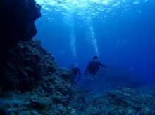 沖縄青の洞窟ダイビングショップ【マリンクラブクレアブログ】