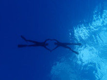 沖縄青の洞窟ダイビングショップ【マリンクラブクレアブログ】