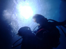 沖縄青の洞窟ダイビングショップ【マリンクラブクレアブログ】