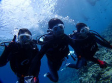 沖縄青の洞窟ダイビングショップ【マリンクラブクレアブログ】