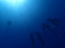 沖縄青の洞窟ダイビングショップ【マリンクラブクレアブログ】