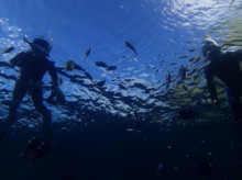 沖縄青の洞窟ダイビングショップ【マリンクラブクレアブログ】