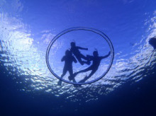 沖縄青の洞窟ダイビングショップ【マリンクラブクレアブログ】