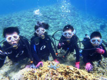 沖縄青の洞窟ダイビングショップ【マリンクラブクレアブログ】