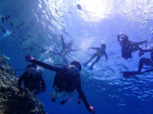 沖縄青の洞窟ダイビングショップ【マリンクラブクレアブログ】