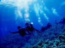 沖縄青の洞窟ダイビングショップ【マリンクラブクレアブログ】