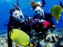 沖縄青の洞窟ダイビングショップ【マリンクラブクレアブログ】