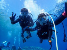 沖縄青の洞窟ダイビングショップ【マリンクラブクレアブログ】