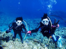 沖縄青の洞窟ダイビングショップ【マリンクラブクレアブログ】