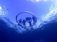 沖縄青の洞窟ダイビングショップ【マリンクラブクレアブログ】